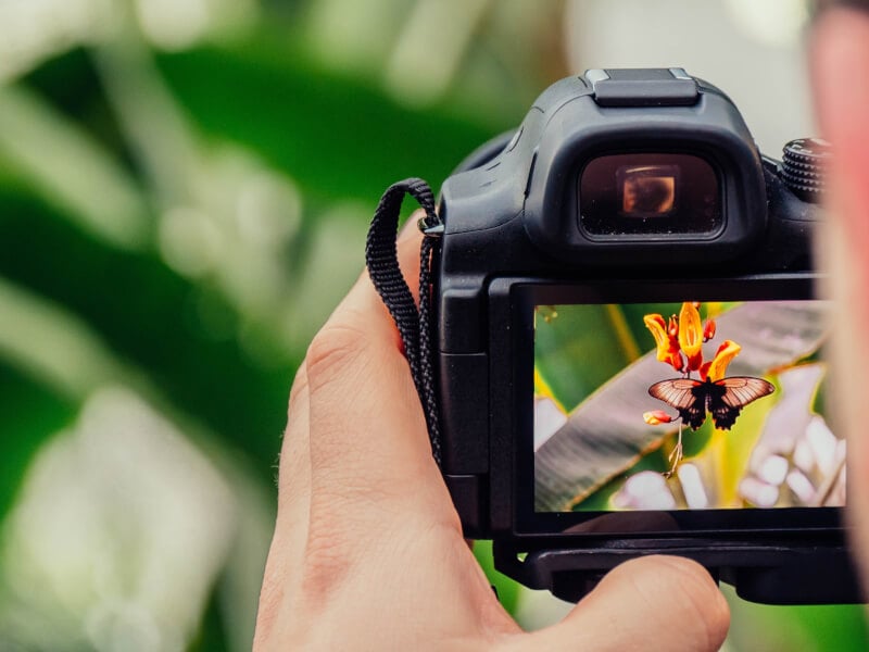 Photography Courses and Classes Brisbane ClassBento